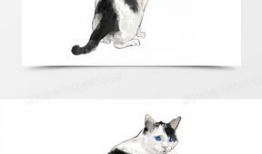 猫漫画黑白,漫绘时光里的喵星人奇遇记